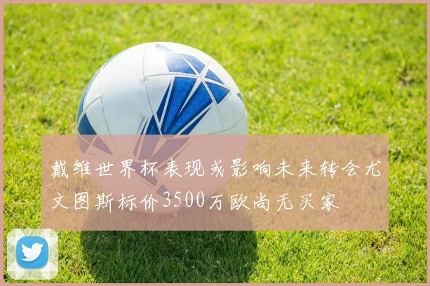 戴维世界杯表现或影响未来转会尤文图斯标价3500万欧尚无买家