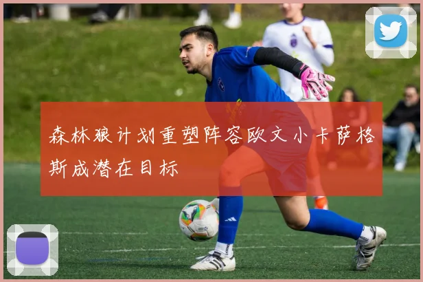 森林狼计划重塑阵容欧文小卡萨格斯成潜在目标