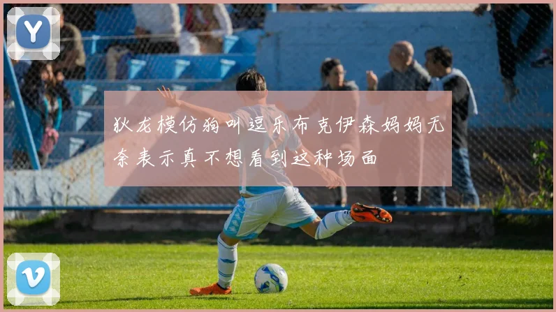 狄龙模仿狗叫逗乐布克伊森妈妈无奈表示真不想看到这种场面