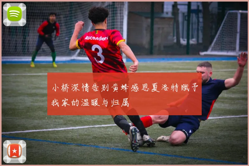 小桥深情告别黄蜂感恩夏洛特赋予我家的温暖与归属